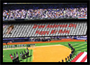 Stadium Signs